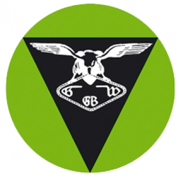 سیم بکسل گوستاولف logo
